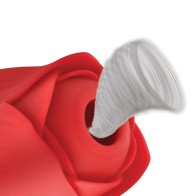 Vibrador Bloomgasm con Arremetida y Succión para Placer Intenso