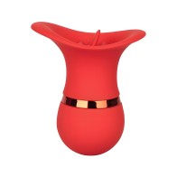 French Kiss Charmer - Tantalizing Pleasure