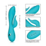 California Dreaming Santa Monica Starlet - Exhilarating Experience