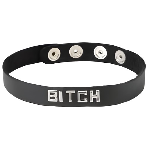 Wordband Collar Bitch - Bold and Stylish