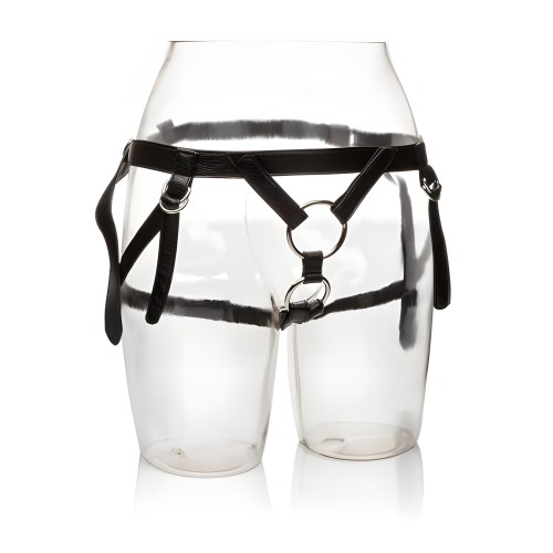 Her Royal Harness Duchess Black Boxed