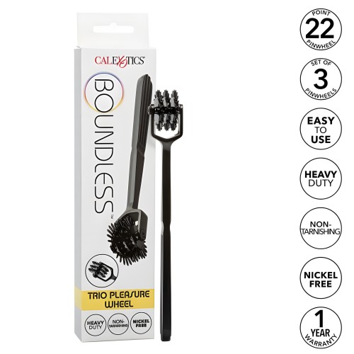 Pinwheel Boundless Trio