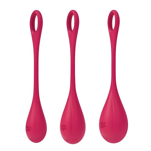 Satisfyer Yoni Power 1