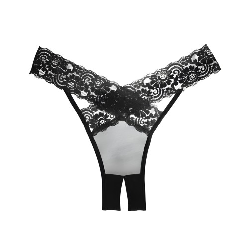 Adore Sheer Lace Panty - Comfort & Elegance