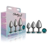 Cheeky Charms Metal Plug Kit | Temperature Play