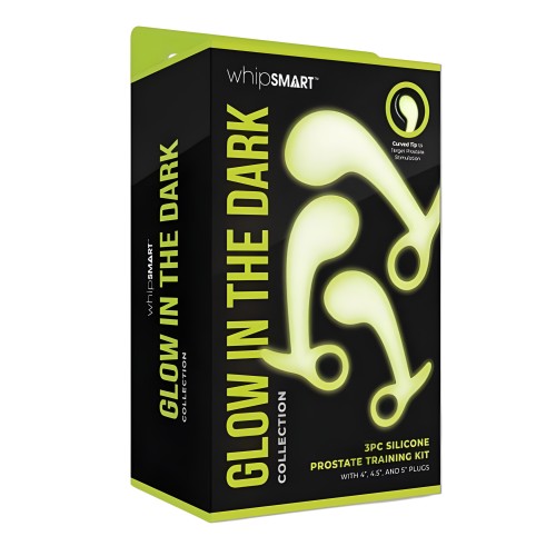 Whipsmart Gitd Prostate Training Kit - Prostate Massagers