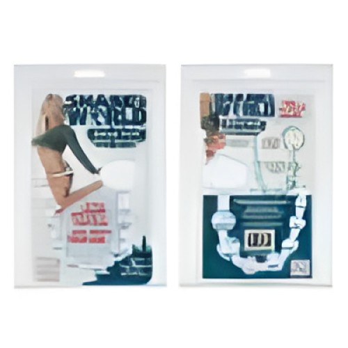 Shanes Anal 101 Intro Beads - Blue