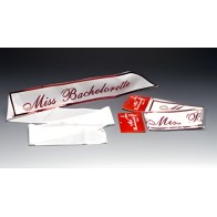 Sash de Fiesta de Despedida de Soltera - Diseño Brillante