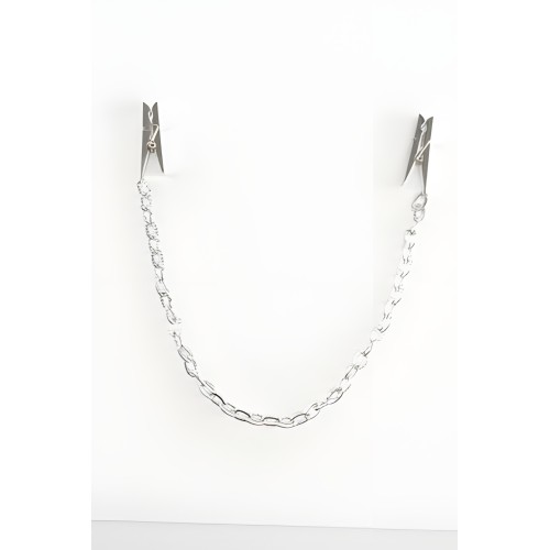 Fetish Fantasy Nipple Chain Clips Silver