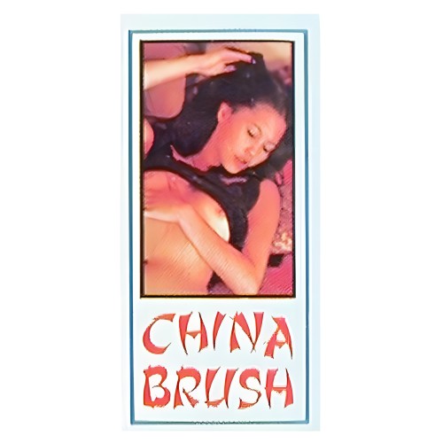 China Brush Spray - Nasstoys