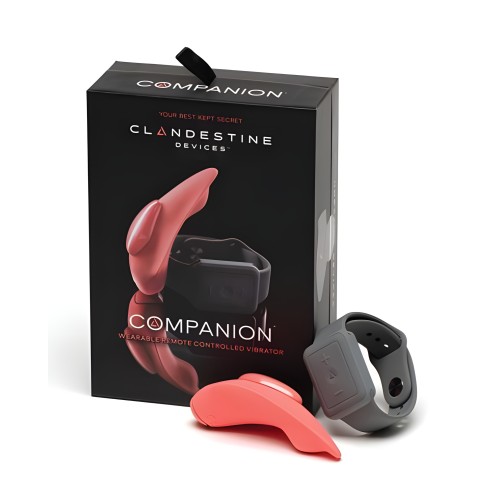 The Companion - Remote Control Panty Vibe