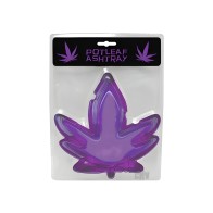 Cenicero Morado Potleaf