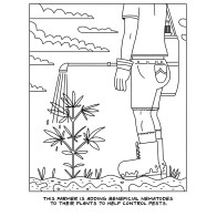 Cannabis Farm Coloring Book