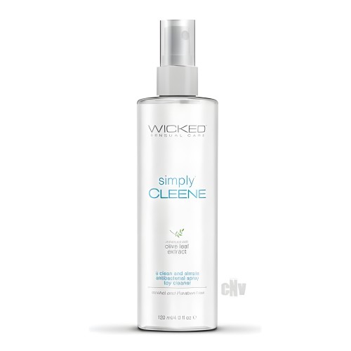 Wicked Simply Cleene Toy Cleaner