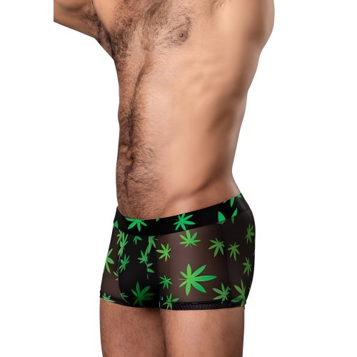 Bañador Hazy Dayz Pouch Short Potleaf