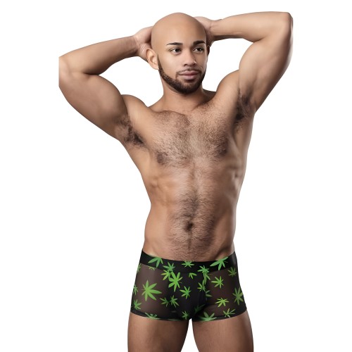 Pantalones Cortos Hazy Dayz Potleaf XL