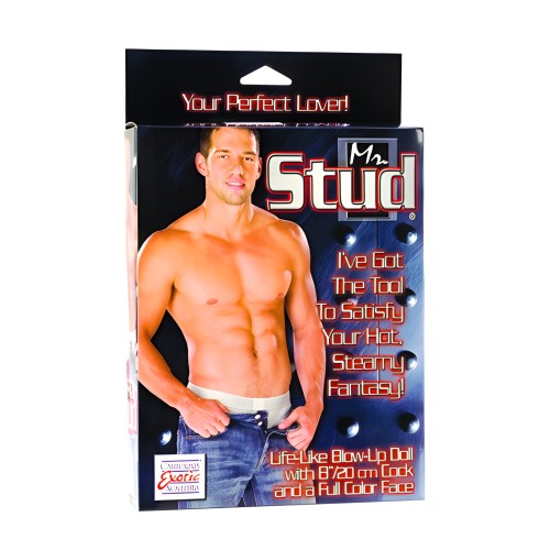 Mr. Stud Love Doll - 8 Inches