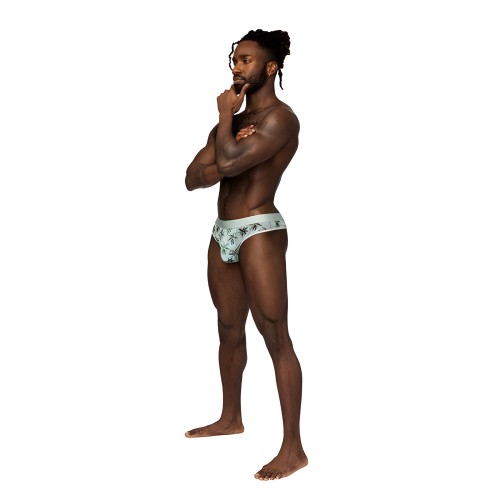 Male Power Sheer Prints Thong - Flamingo