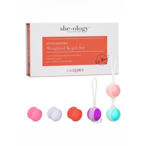 She-ology Interchangeable Weighted Kegel Set