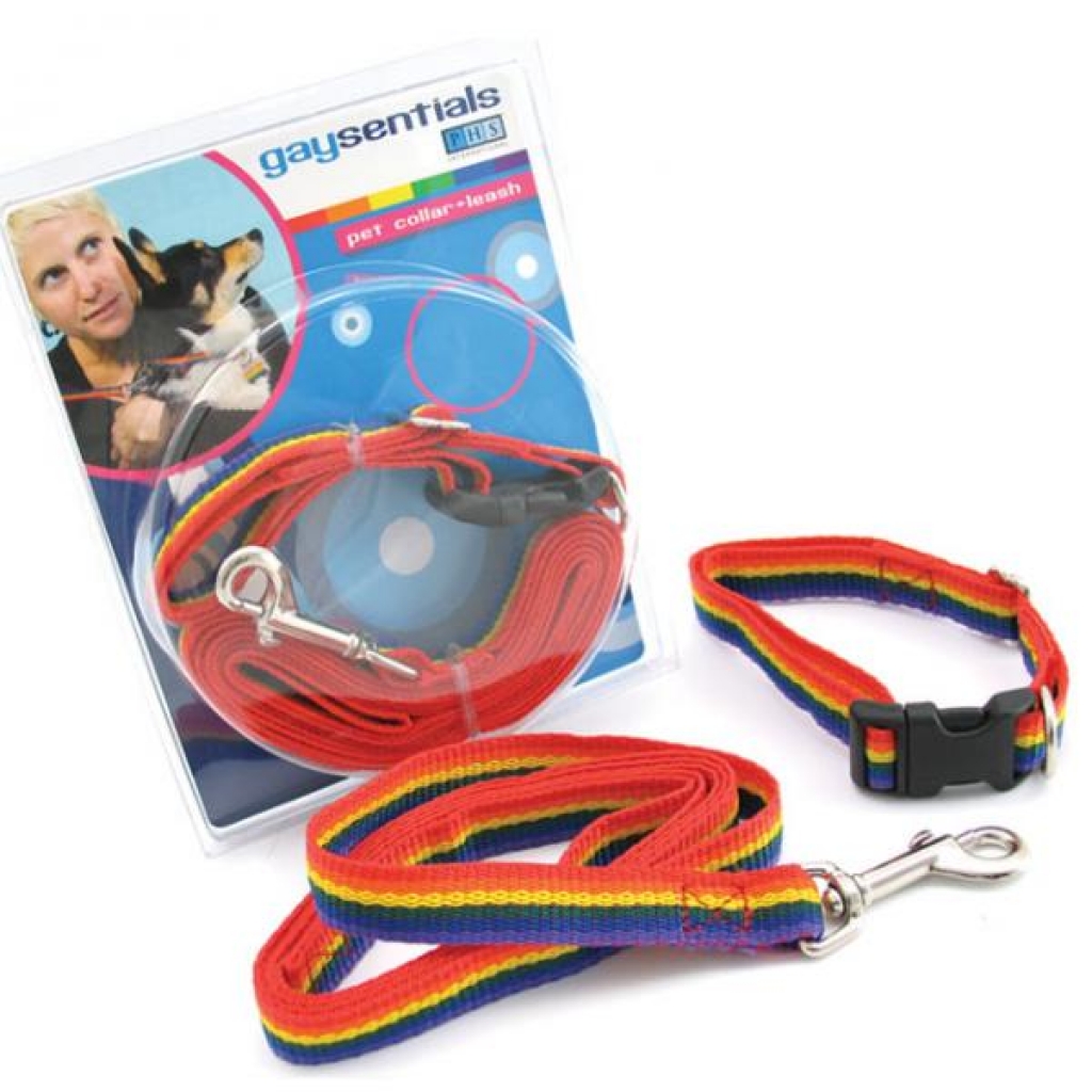 Gs Pet Combo Leash/collar (medium) - Collars & Leashes