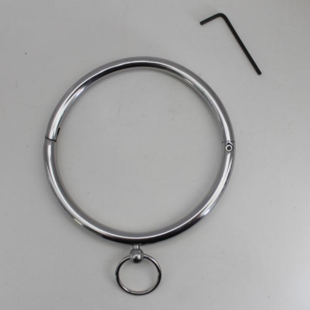 Rouge Stainless Steel Ring Collar Silver - Collars & Leashes