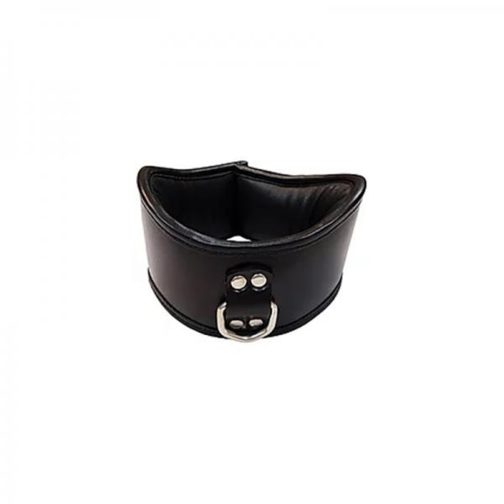 Rouge Posture Collar With 1 D-ring - Collars & Leashes