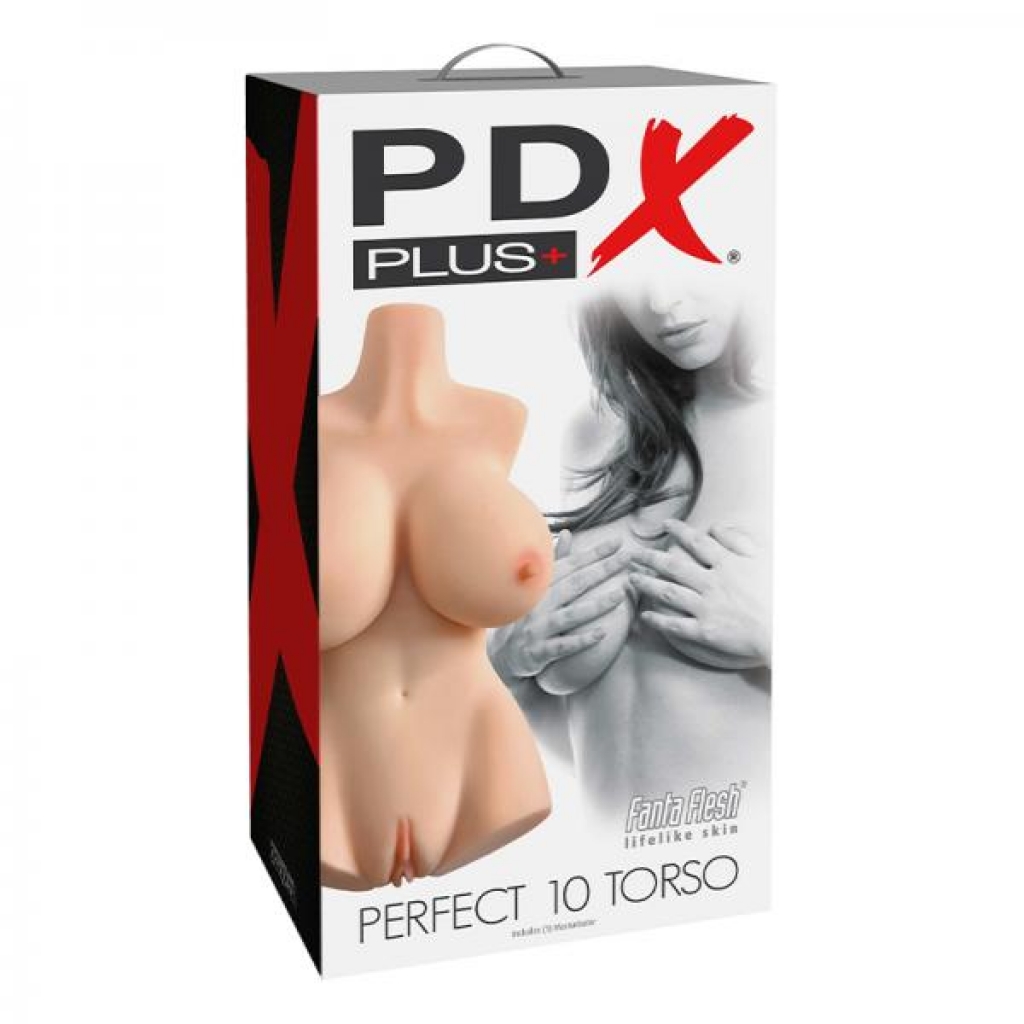 Pdx Plus Perfect 10 Torso Light - Lifesize Masturbators