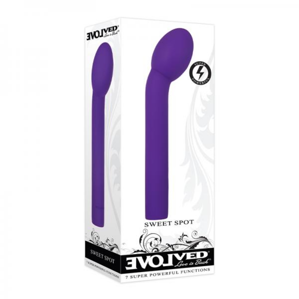 Evolved Sweet Spot Rechargeable Silicone Purple - G-Spot Vibrators