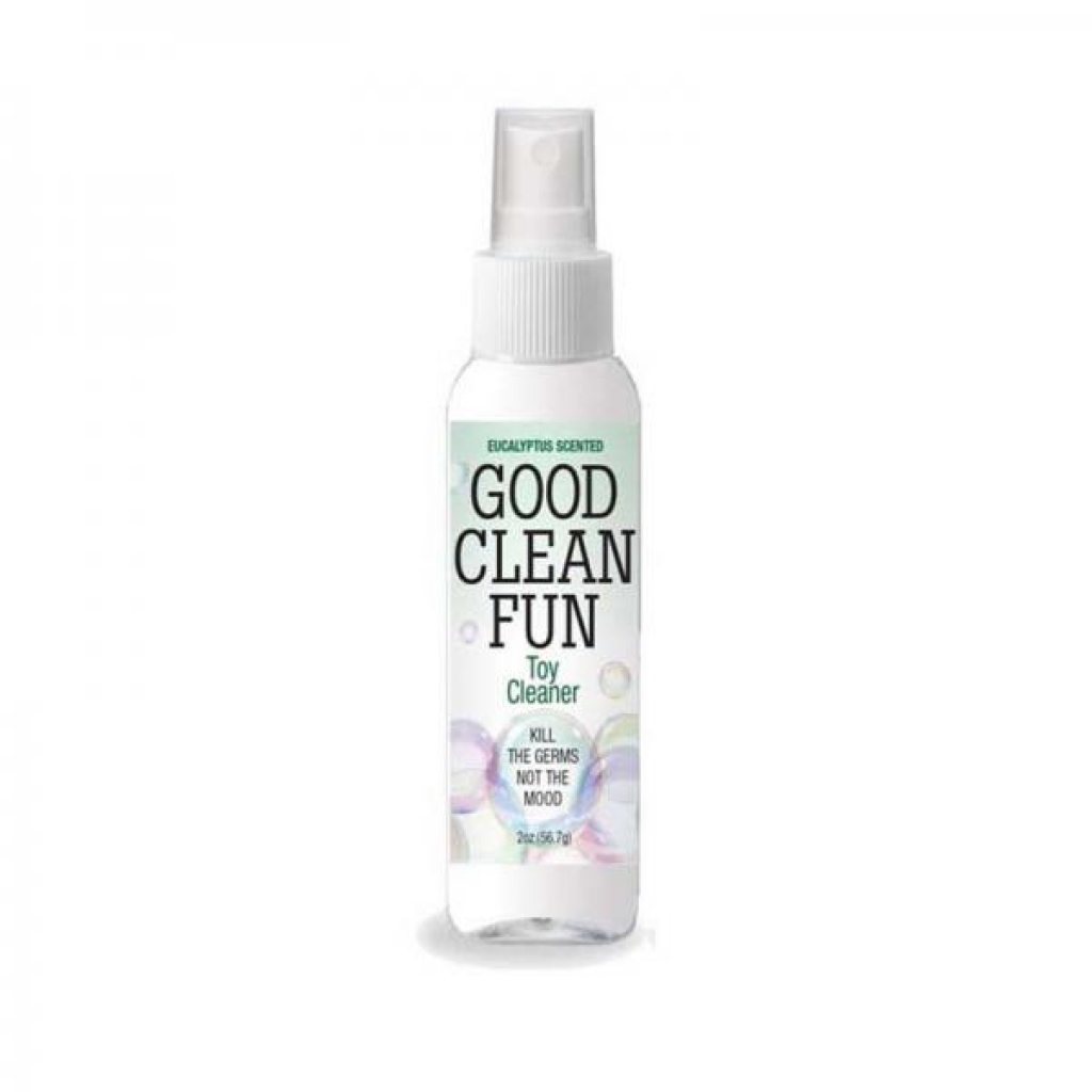 Good Clean Fun 2 Oz. Eucalyptus Toy Cleaner - Toy Cleaners