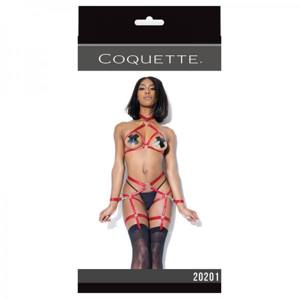 Harness Top And Crotchless Panty Merlot - Babydolls & Slips