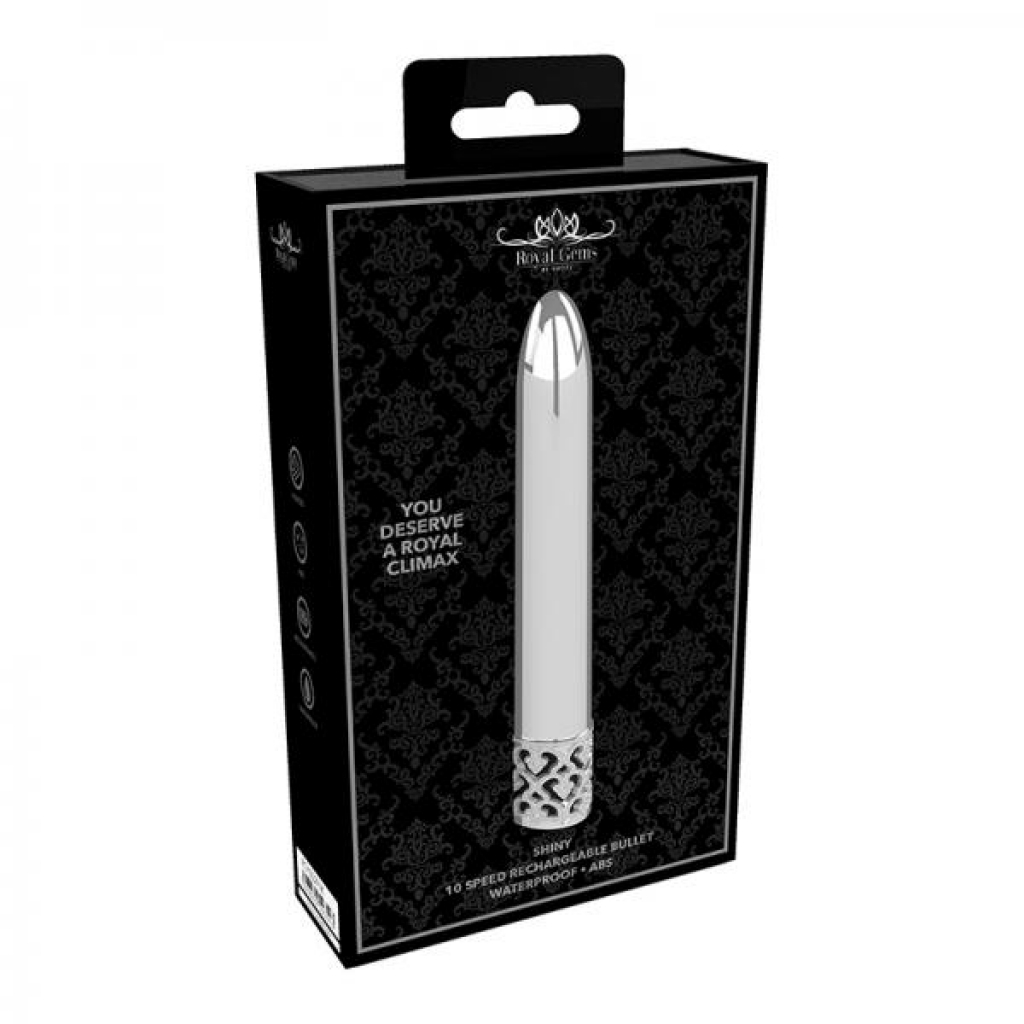 Royal Gem - Shiny Abs Rechargeable Bullet Silver - Bullet Vibrators