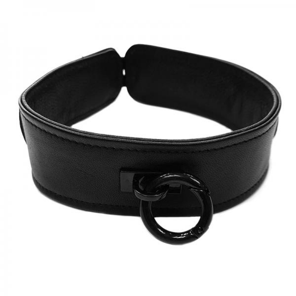 Rouge Leather Collar Black With Black Accessories - Collars & Leashes