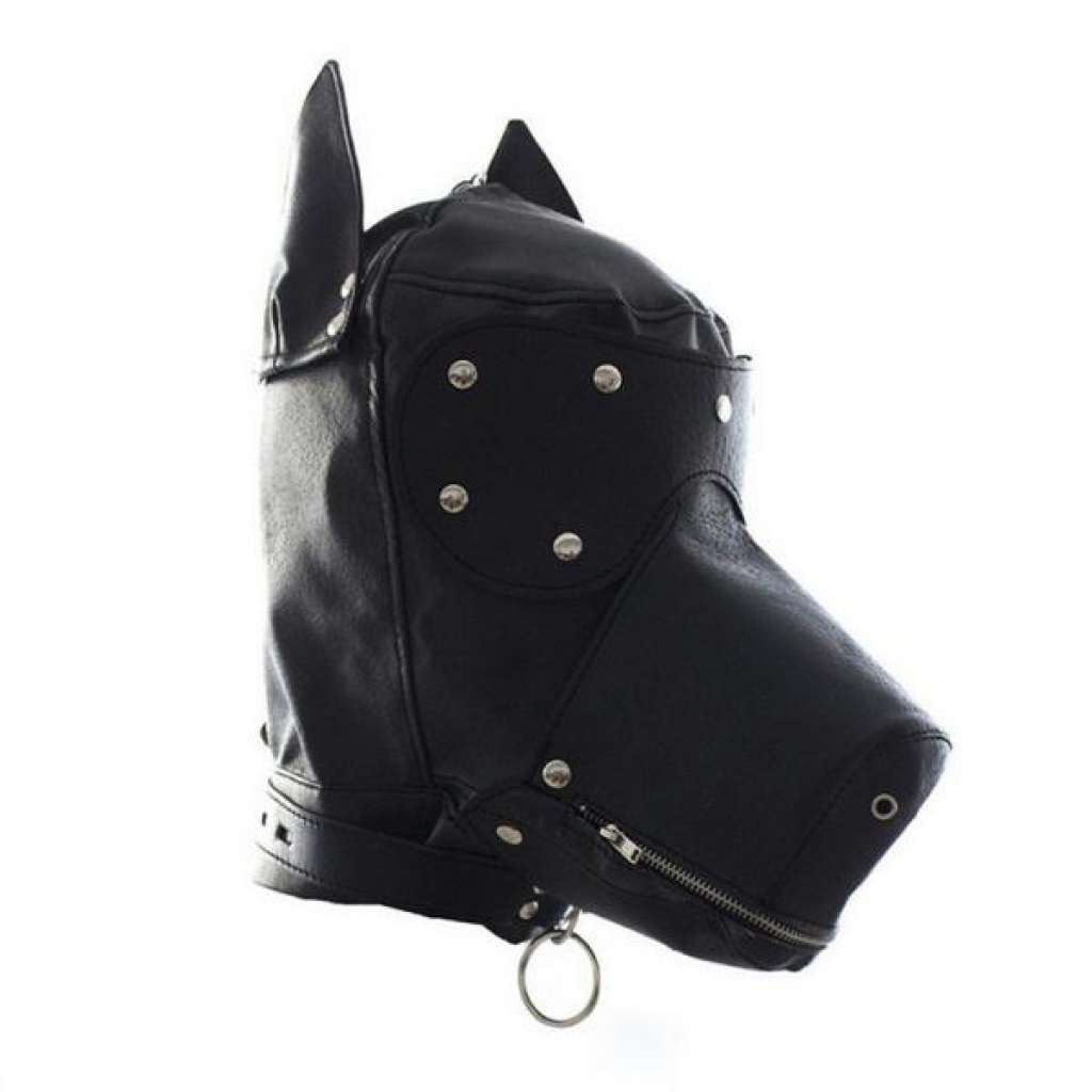 Ple'sur Locking Lace-up Faux Leather Dog Hood Mask With Zipper Mouth Black - Sexy Costume Accessories