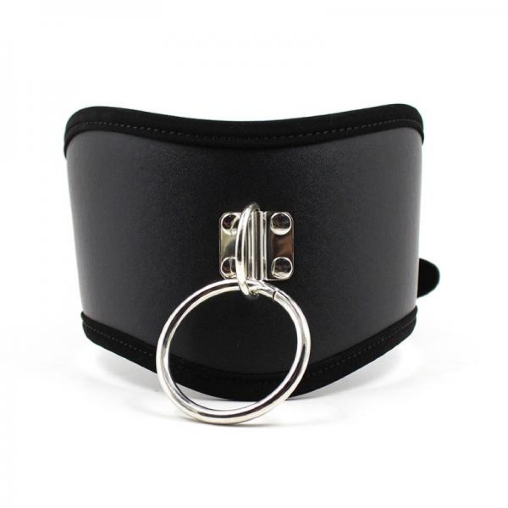 Ple'sur Pvc Adjustable Posture Collar With O-ring Black - Collars & Leashes