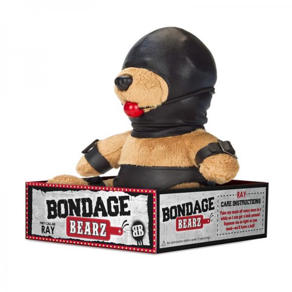 Bondage Bearz Gary Gag Ball - Gag & Joke Gifts